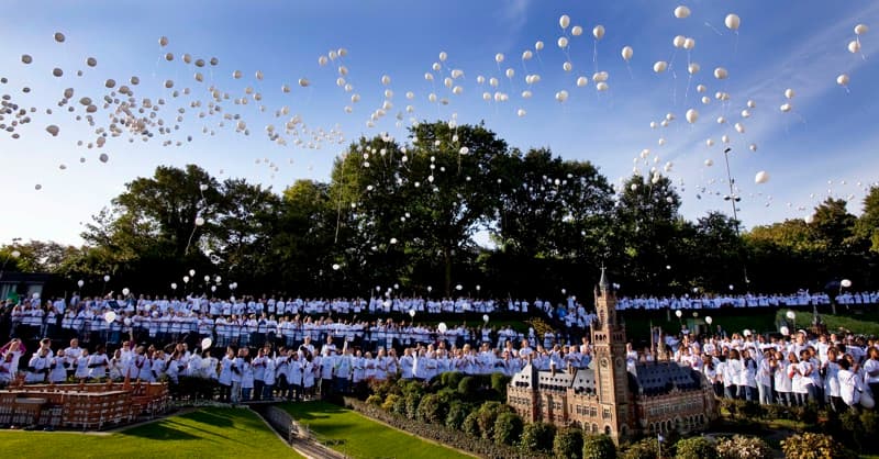 Schoolkinderen en vredeseducatie